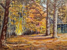 Autumn 00038