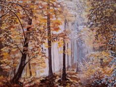 Autumn 00039