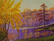 Autumn 00040